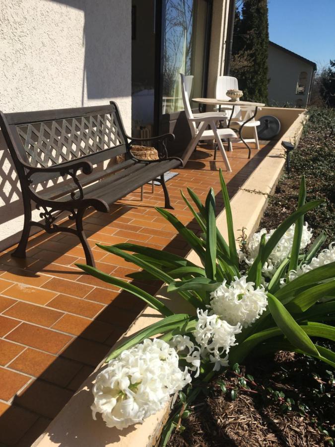 Exklusives Apartment In Bad Saeckingen Fuer 2 Person Eksteriør bilde